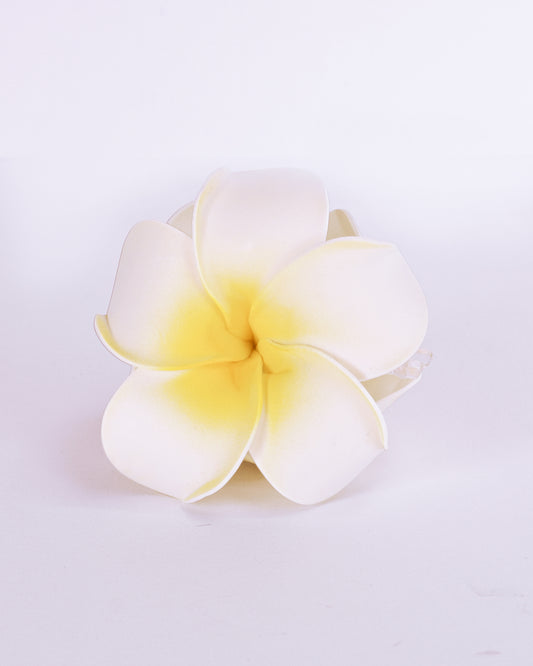 Plumeria